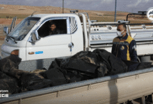 تقرير حقوقي: مقتل 21 سجيناً على الأقل خارج القانون قرب عين العرب وتحميل قسد المسؤولية